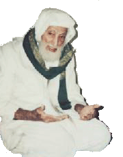 الإمام المجدد للدين /مجد الدين بن محمد بن منصور المؤيدي - صورة 11